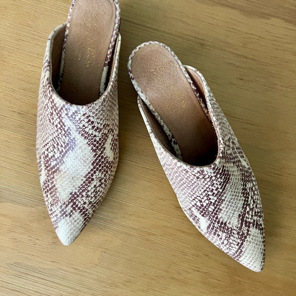 Seychelles Python Mules